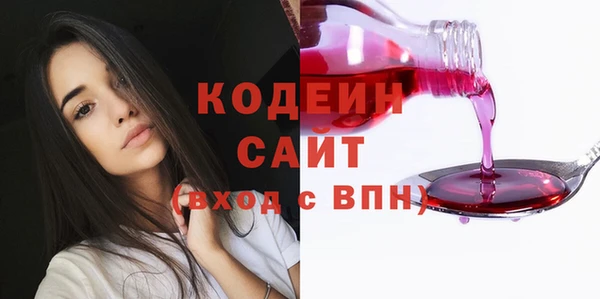 не бодяженный Галич