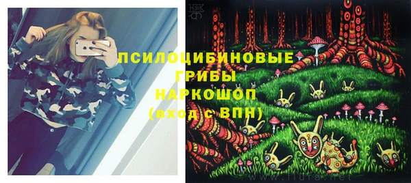 мяу мяу мука Осинники